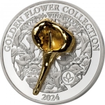 "Золотые 3D цветы" - Золотая калла. Самоа, 5$, 2024 г. 99,99% серебряная монета с частичной позолотой, 1 унция.